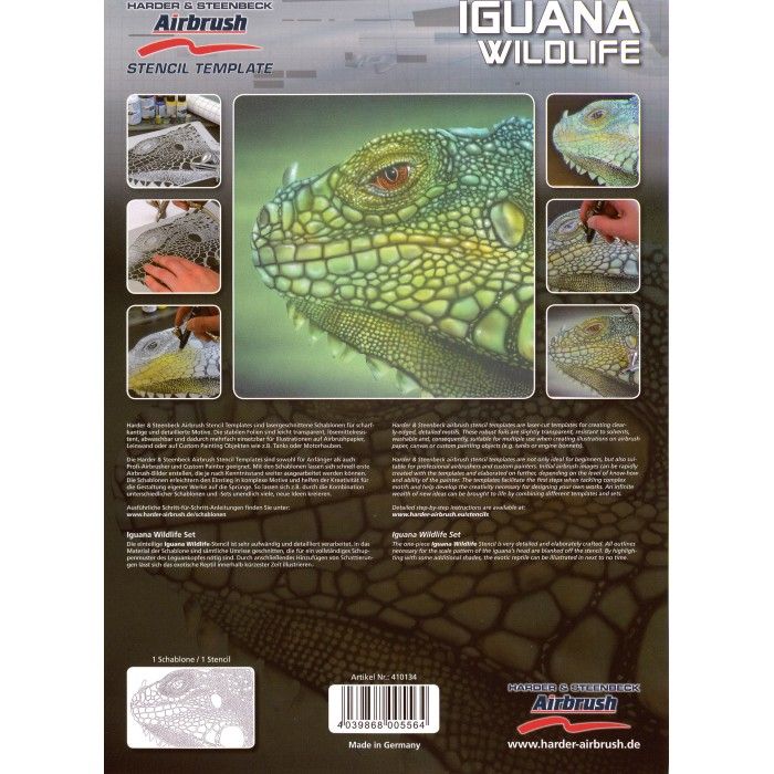 Stencil Iguana Wildlife