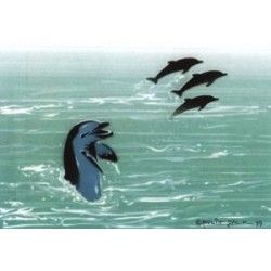 Set di stencil per delfini